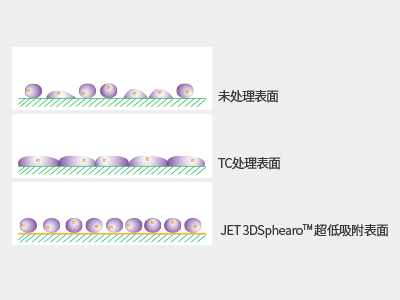 超低吸附表面具有共價(jià)結(jié)合的水凝膠層，具有極強(qiáng)的抗蛋白吸附性和抗細(xì)胞貼壁性，可有效抑制細(xì)胞附著