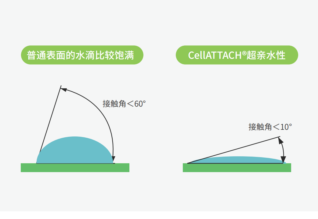 獨(dú)特的超親水表面處理技術(shù)，能為細(xì)胞提供更好的吸附性，促進(jìn)細(xì)胞快速貼壁生長，提高產(chǎn)量